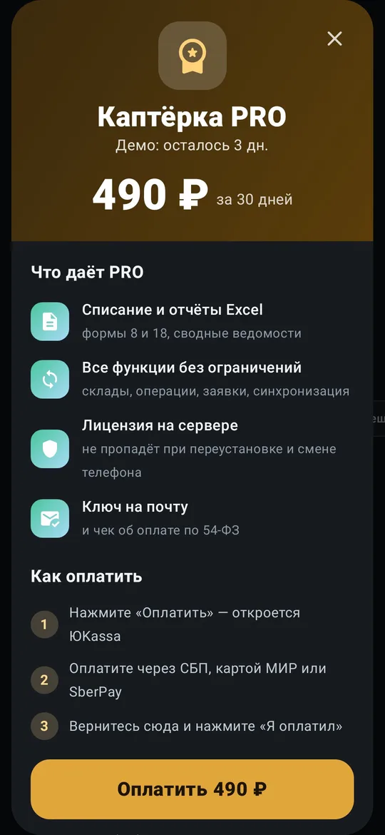 Пример интерфейса — PRO: оплата и ключ на почту